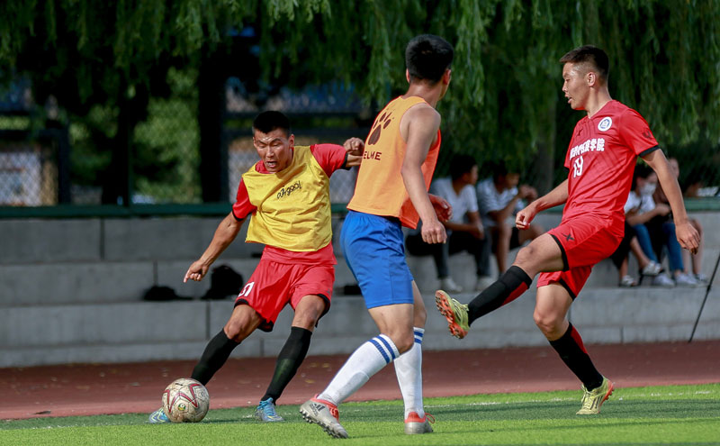 足协杯：克雷桑梅开二度 山东泰山5-0大胜青岛红狮