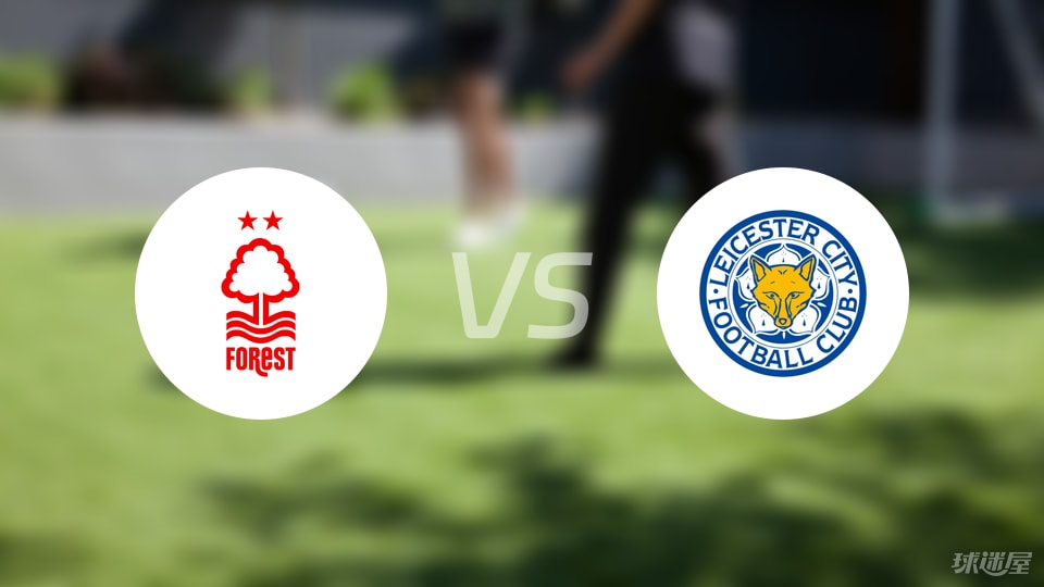 ATP总决赛 辛纳笑到最后